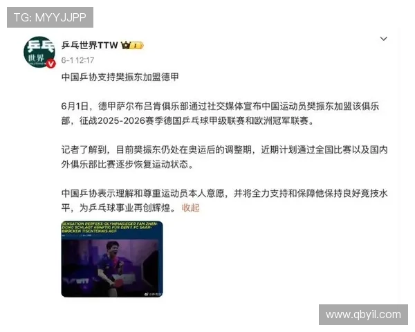 乒乓球耐力实力榜单权威发布揭示运动员真实竞技状态与潜力