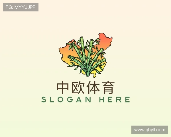认识zoty中欧